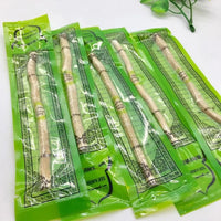Natural Miswak Toothbrush 4